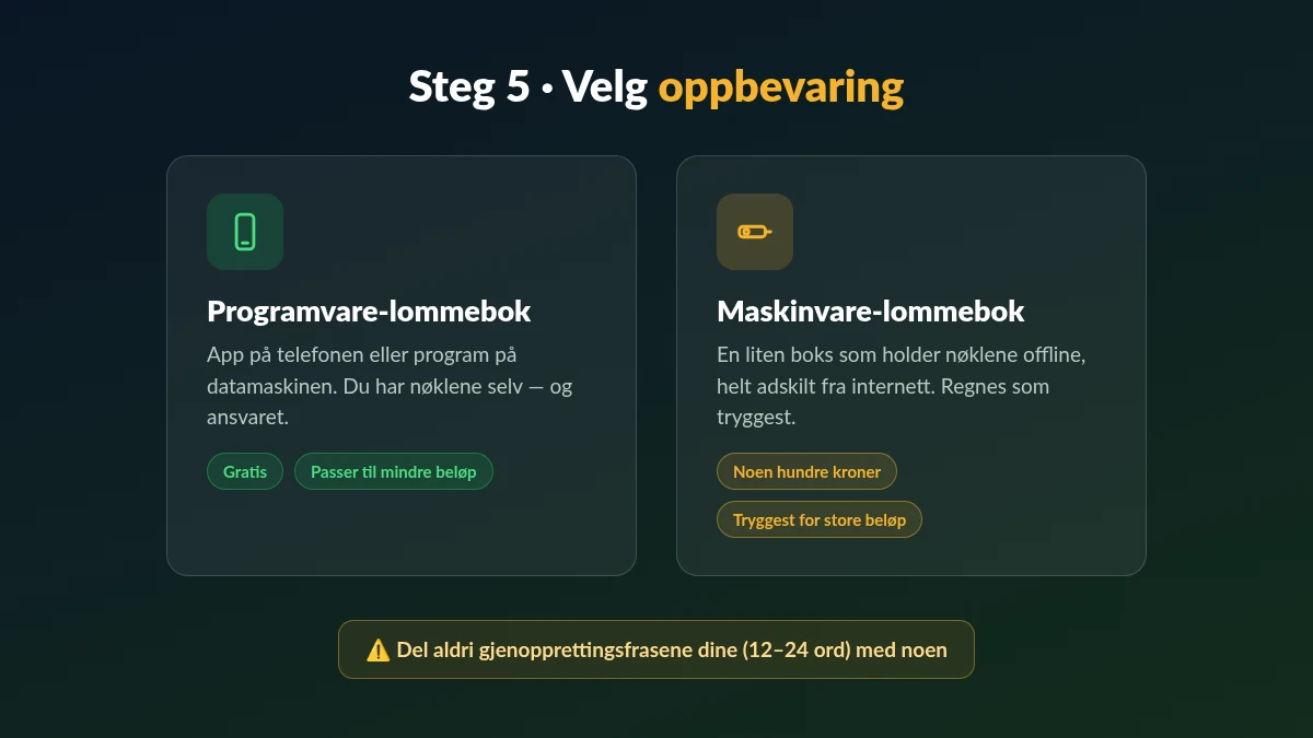 oppbevaring av bitcoin i programvare-lommebok eller maskinvare-lommebok